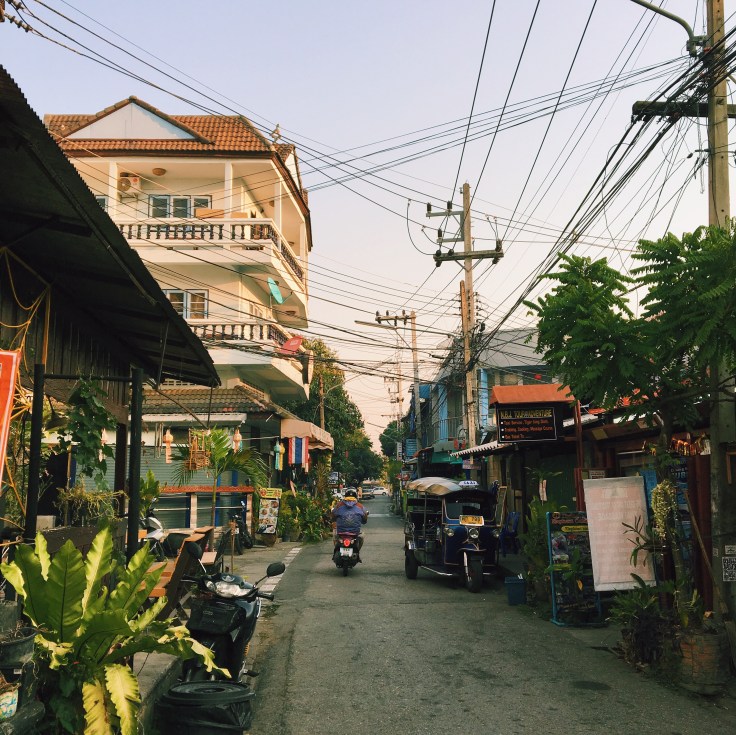 Photo 2016-02-09, 7 46 26 AM.jpg