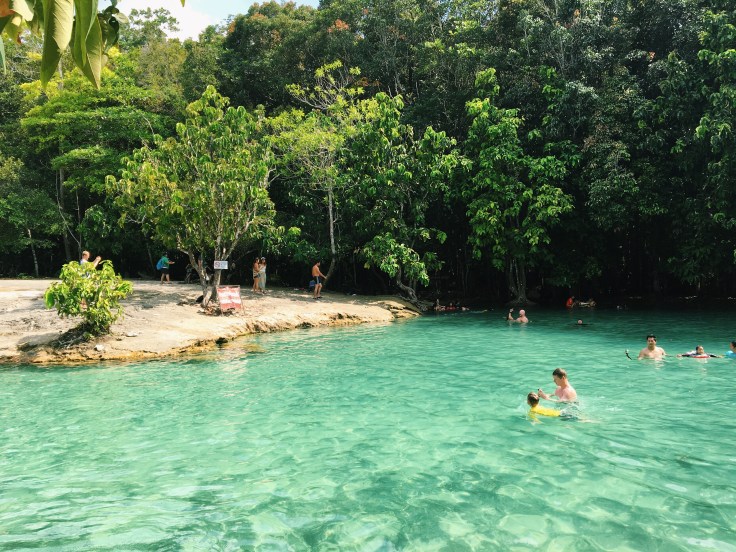 Photo 2016-02-17, 2 51 22 AM.jpg