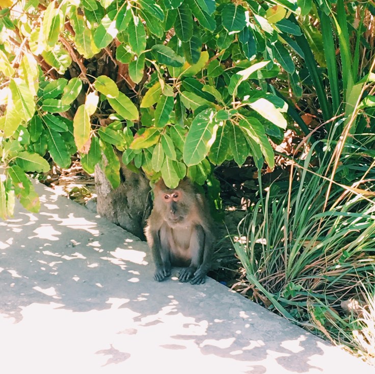 Photo 2016-02-18, 11 46 41 AM.jpg