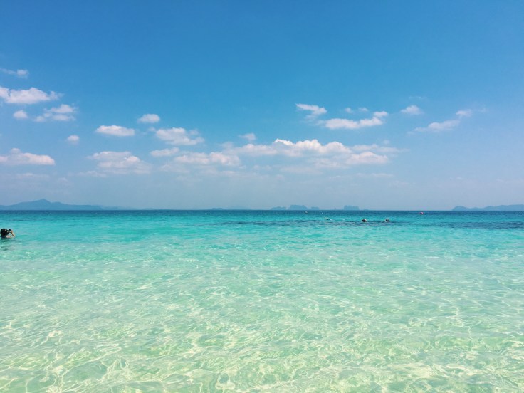 Photo 2016-02-20, 12 50 35 AM.jpg