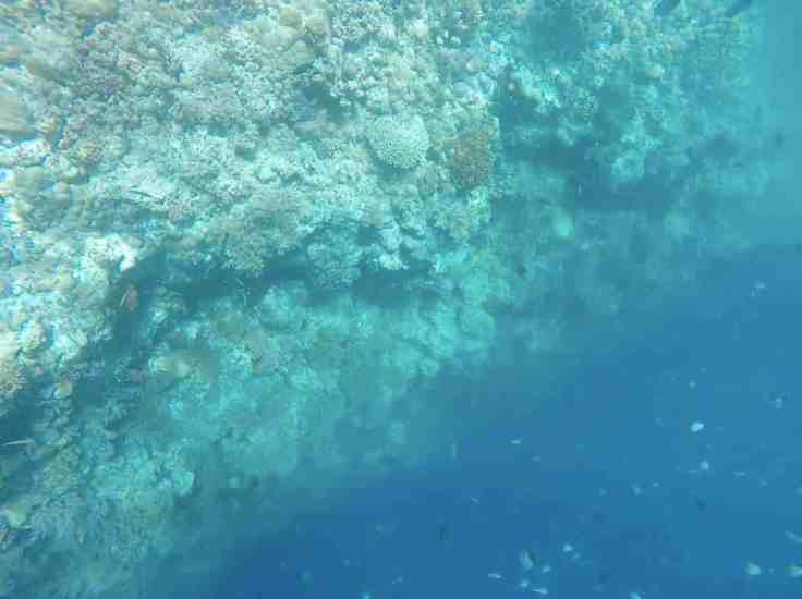 Screen Shot 2016-03-20 at 12.40.52 PM.jpg