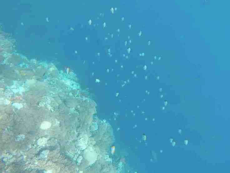 Screen Shot 2016-03-20 at 12.46.30 PM.jpg