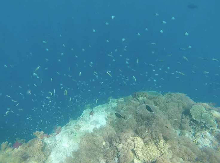 Screen Shot 2016-03-20 at 12.47.54 PM.jpg