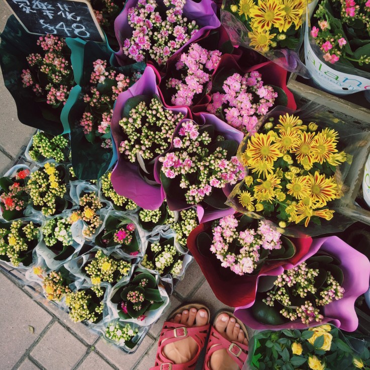 Photo 2016-07-25, 4 32 17 AM.jpg