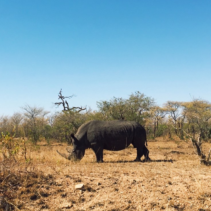 Processed with VSCOcam with g3 preset