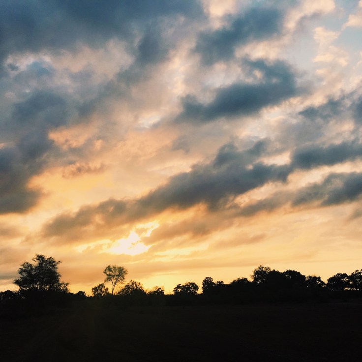 Photo 2016-07-31, 7 08 29 AM.jpg