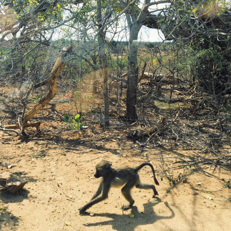 Photo 2016-08-01, 12 09 00 PM.jpg