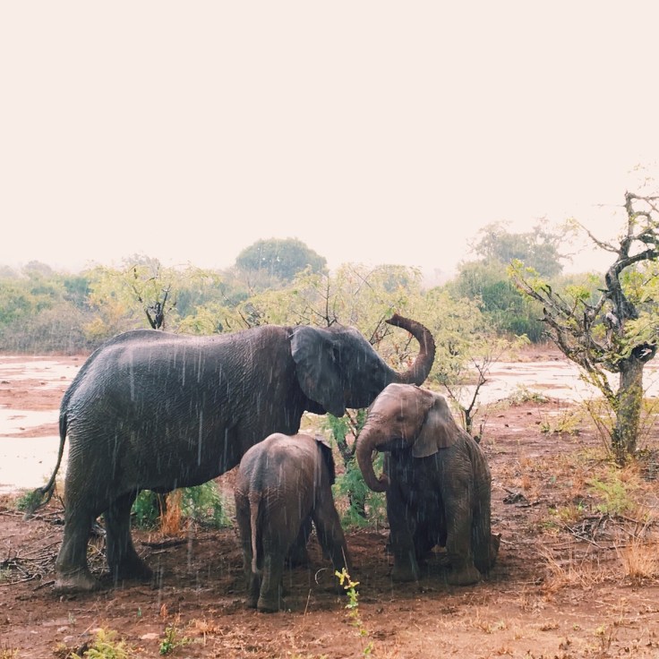 Photo 2016-08-01, 2 18 41 PM.jpg