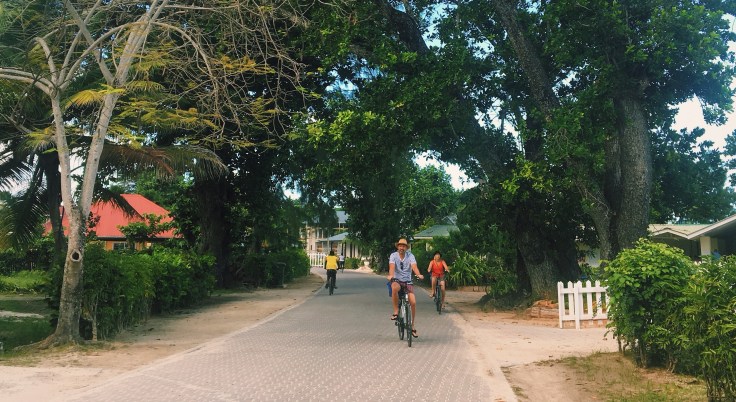 Processed with VSCO with c1 preset